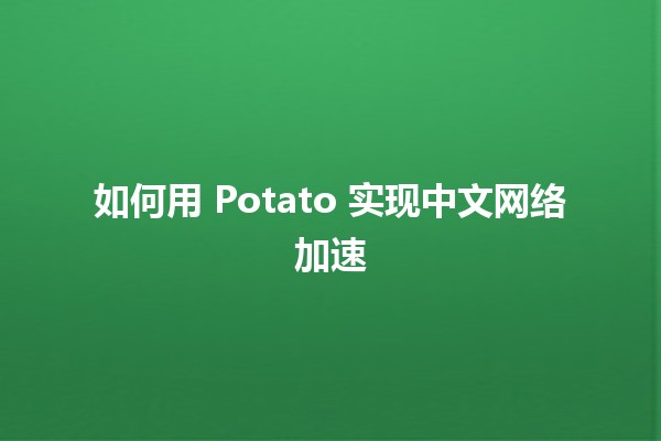 如何用 Potato 实现中文网络加速🌐✨