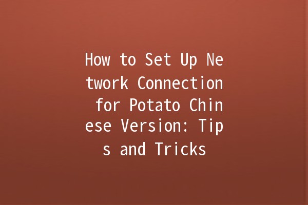 How to Set Up Network Connection for Potato Chinese Version: Tips and Tricks 🚀🌐