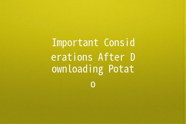 Important Considerations After Downloading Potato 🍟