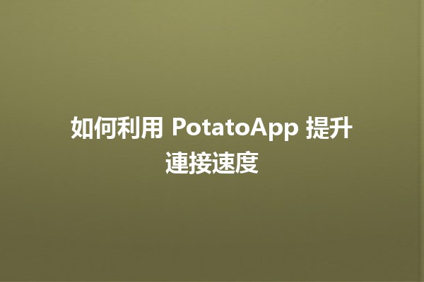 如何利用 PotatoApp 提升連接速度 🚀⚡