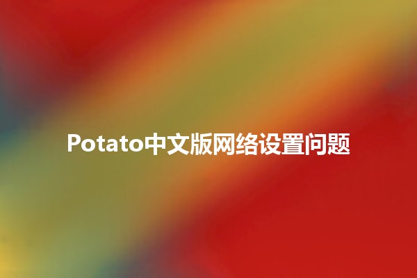 Potato中文版网络设置问题💻🛠️