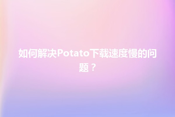 🚀 如何解决Potato下载速度慢的问题？🌐