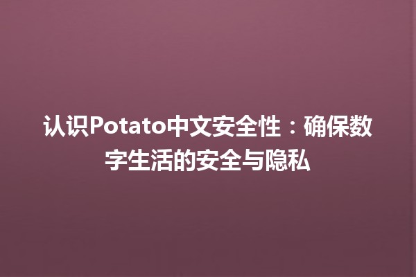 🍟认识Potato中文安全性：确保数字生活的安全与隐私🔒