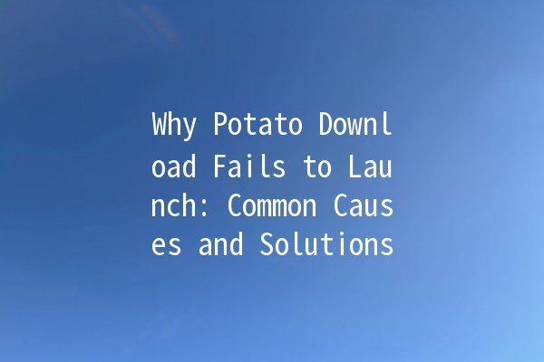 Why Potato Download Fails to Launch: Common Causes and Solutions 🥔🚫