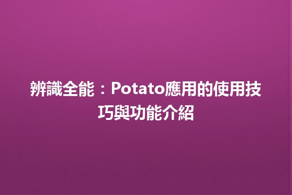 辨識全能：Potato應用的使用技巧與功能介紹🥔✨