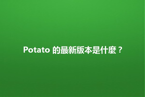 Potato 的最新版本是什麼？🥔✨