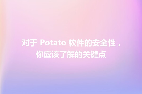 🥔 对于 Potato 软件的安全性，你应该了解的关键点 🔍