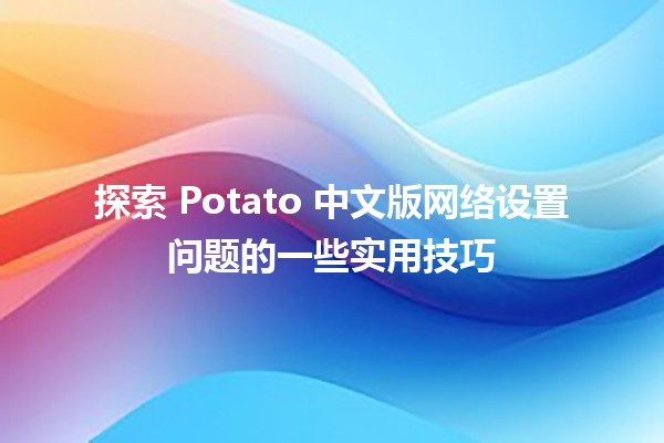 🎮 探索 Potato 中文版网络设置问题的一些实用技巧 🌐