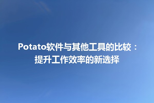 🍟💻 Potato软件与其他工具的比较：提升工作效率的新选择