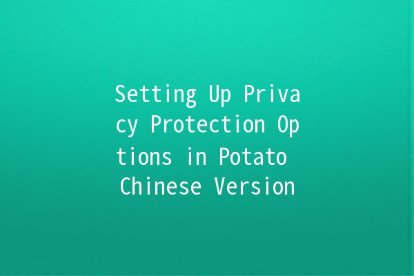 Setting Up Privacy Protection Options in Potato Chinese Version 🥔🔒