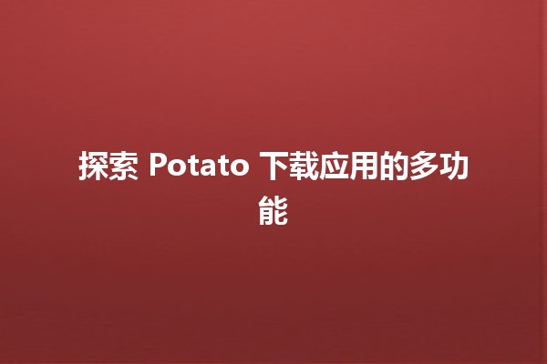 探索 Potato 下载应用的多功能 🌟🚀