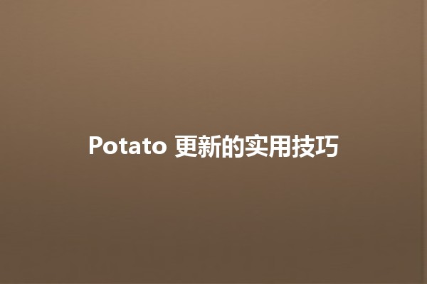 Potato 更新的实用技巧 🥔✨