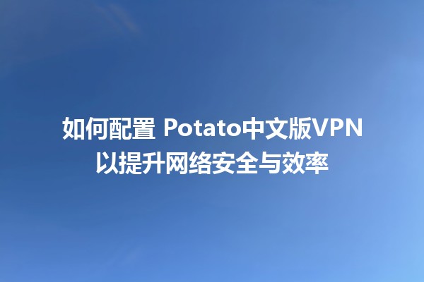 如何配置🍟 Potato中文版VPN以提升网络安全与效率