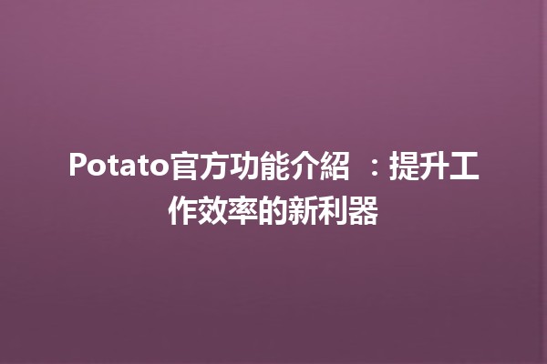 Potato官方功能介紹 🍟🚀：提升工作效率的新利器