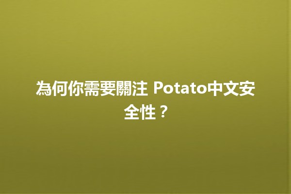 🍟 為何你需要關注🥔 Potato中文安全性？