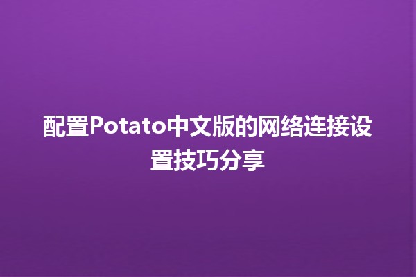 🚀 配置Potato中文版的网络连接设置技巧分享