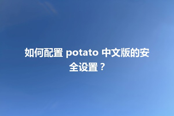 如何配置 potato 中文版的安全设置？🔒💻