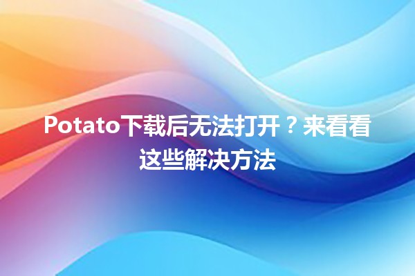 Potato下载后无法打开？来看看这些解决方法 🚀