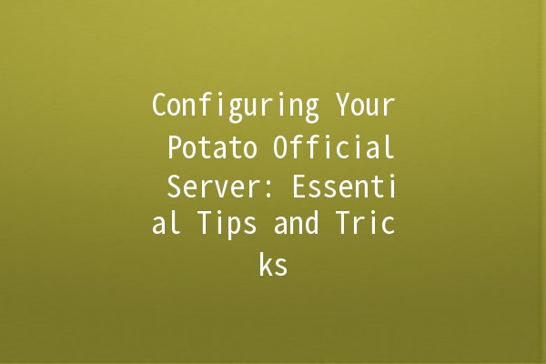 Configuring Your Potato Official Server: Essential Tips and Tricks 🥔💻