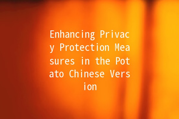 Enhancing Privacy Protection Measures in the Potato Chinese Version 🥔🔒