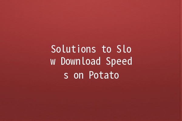 Solutions to Slow Download Speeds on Potato 🌐🍟