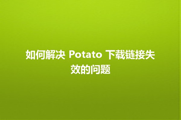 如何解决 Potato 下载链接失效的问题 💻🚀