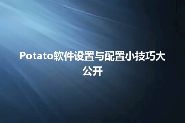 🌟 Potato软件设置与配置小技巧大公开 🔧