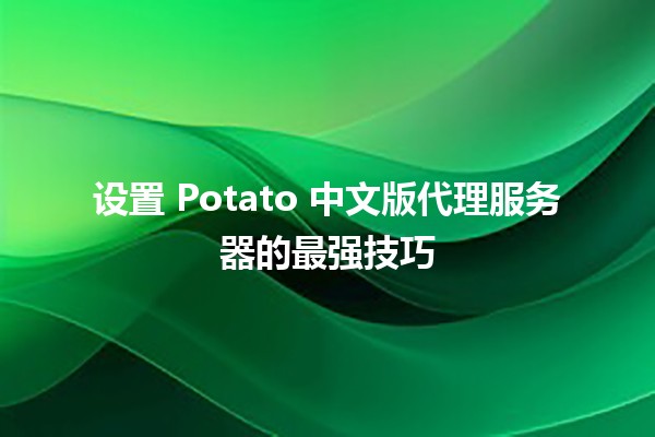 设置 Potato 中文版代理服务器的最强技巧 🚀🖥️