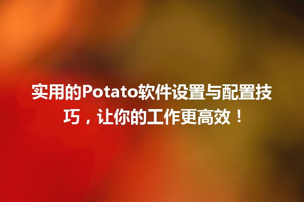 🍟 实用的Potato软件设置与配置技巧，让你的工作更高效！