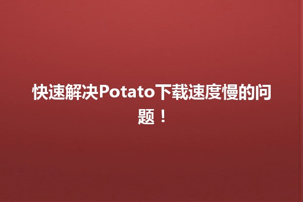 🚀 快速解决Potato下载速度慢的问题！