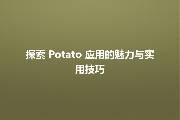 探索 Potato 应用的魅力与实用技巧 🍟✨