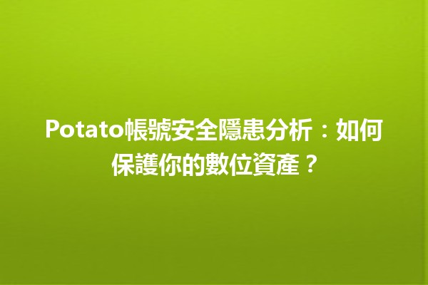 Potato帳號安全隱患分析💡🔒：如何保護你的數位資產？